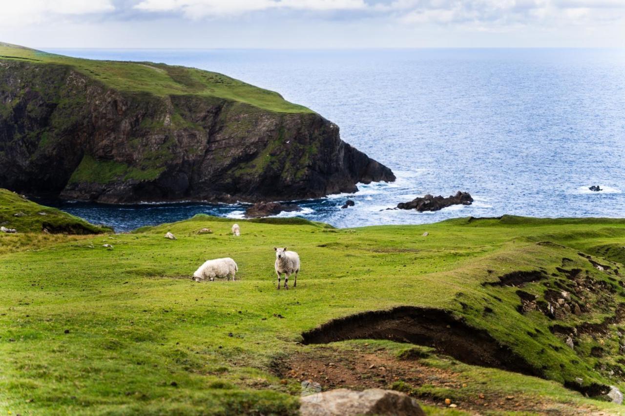Arranmore Glamping Aphort Zewnętrze zdjęcie